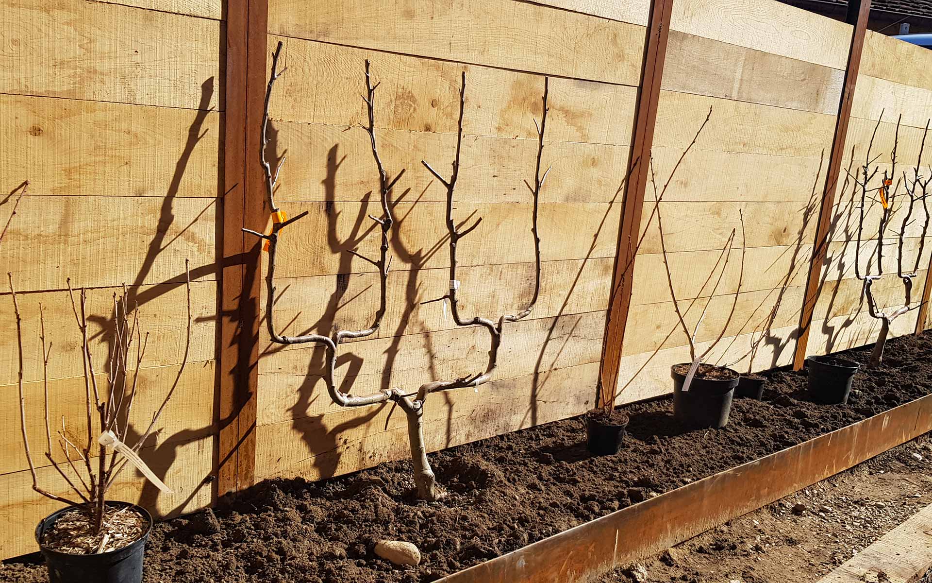 plantations_banner